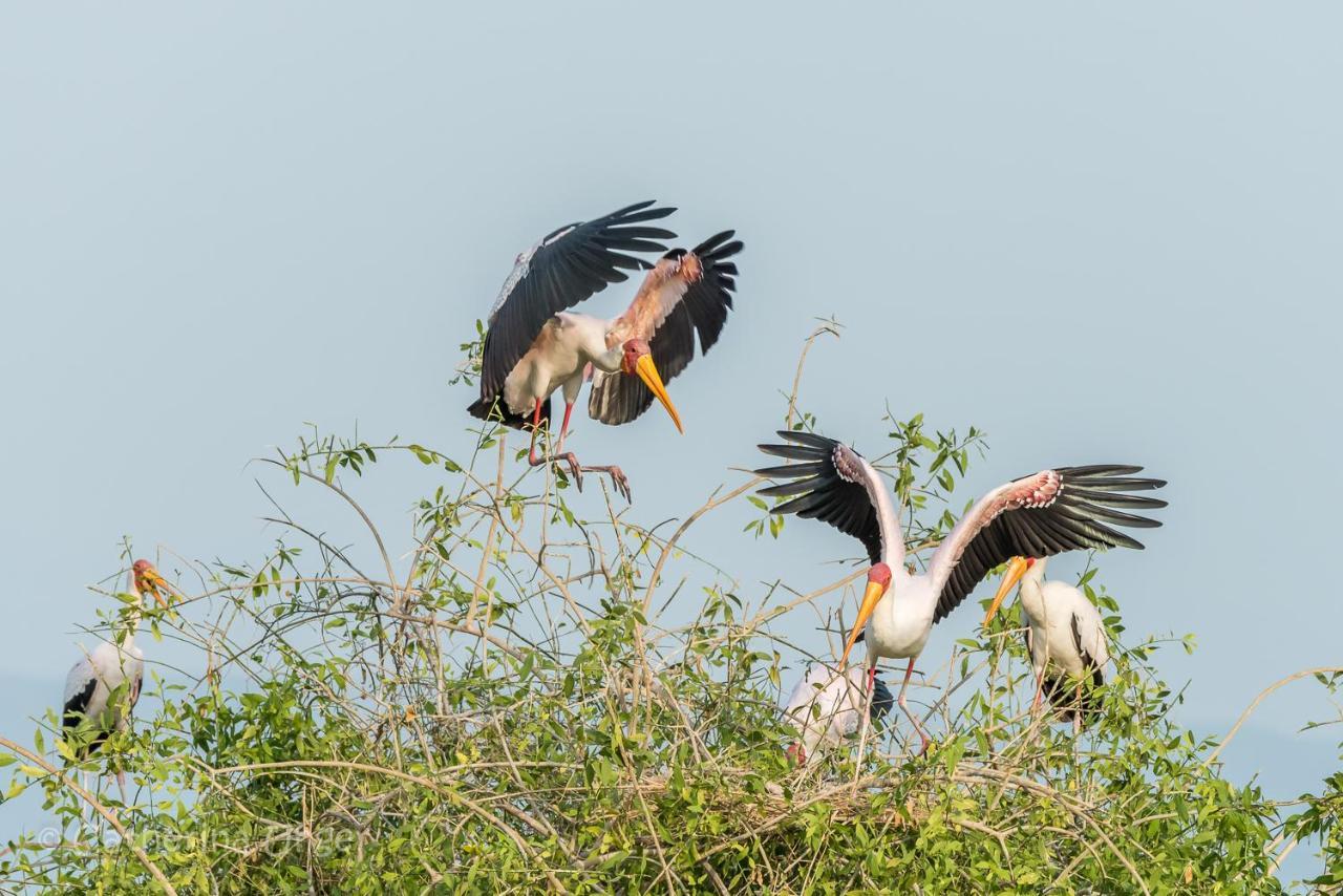 Lake Natron Maasai Giraffe Eco Lodge And Camping Mtowabaga Zewnętrze zdjęcie