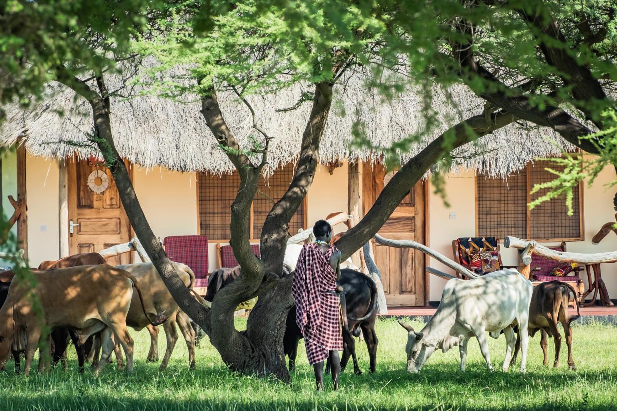 Lake Natron Maasai Giraffe Eco Lodge And Camping Mtowabaga Zewnętrze zdjęcie